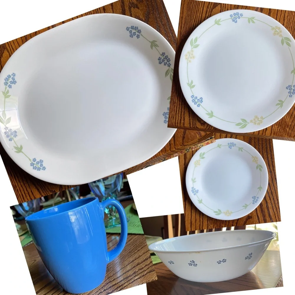Corelle Secret Garden Pattern Appetizer Plate 6.75